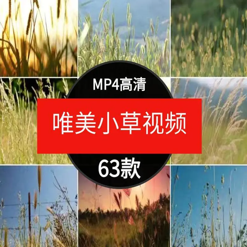 63款唯美小草治愈情感视频素材 高清无水印
