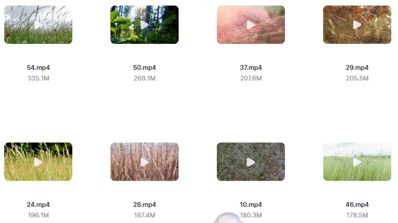 63款唯美小草治愈情感视频素材 高清无水印 第3张