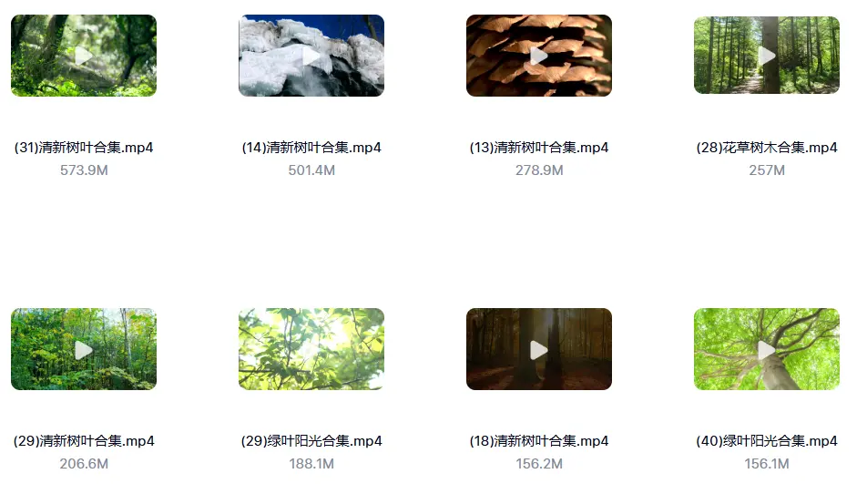 精选122款阳光穿透树叶空镜4K视频素材 第2张