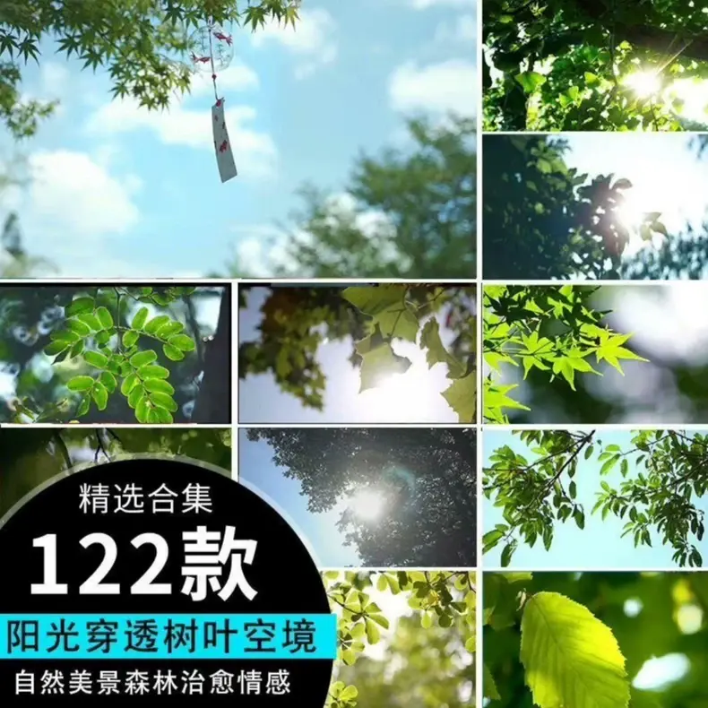 精选122款阳光穿透树叶空镜4K视频素材