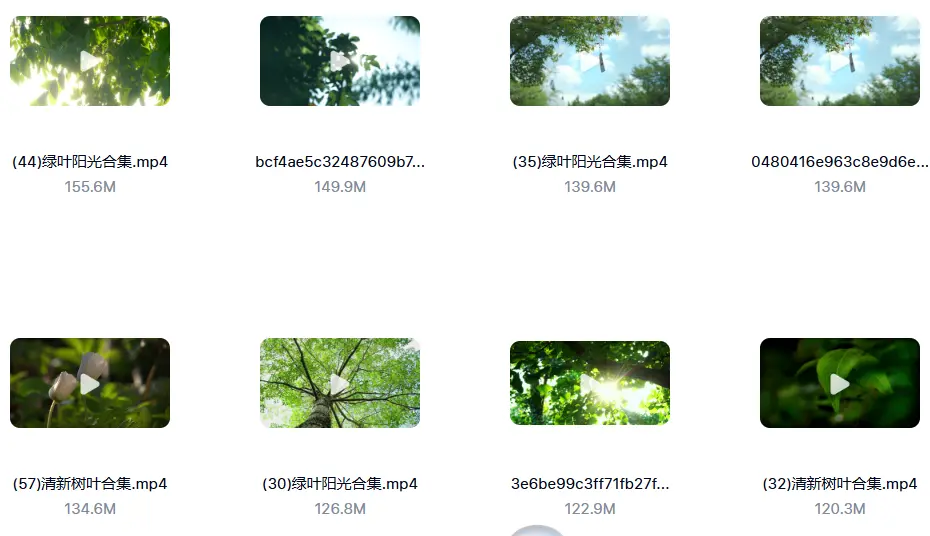 精选122款阳光穿透树叶空镜4K视频素材 第3张