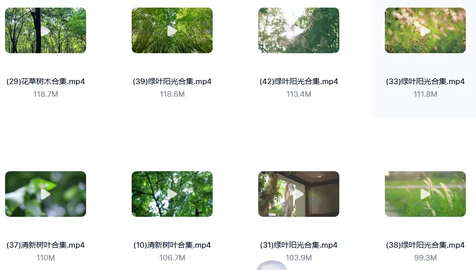 精选122款阳光穿透树叶空镜4K视频素材 第4张