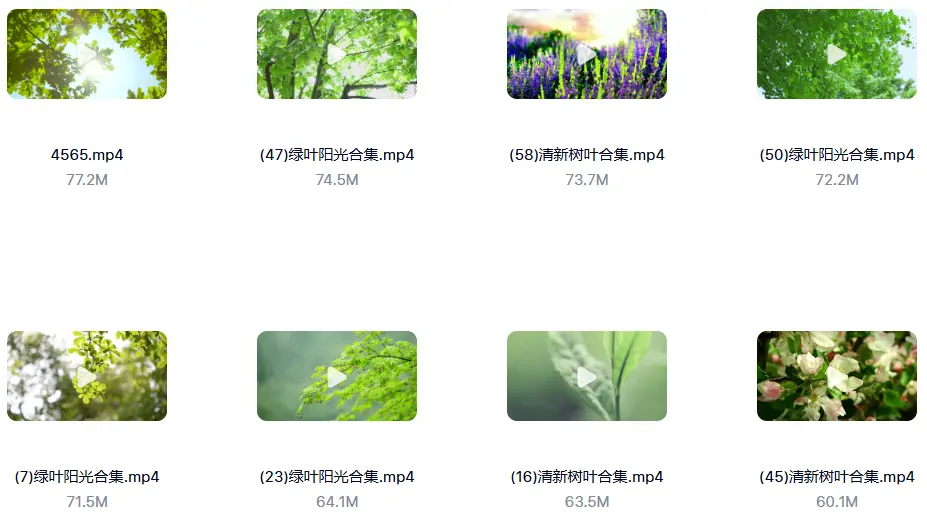 精选122款阳光穿透树叶空镜4K视频素材 第6张