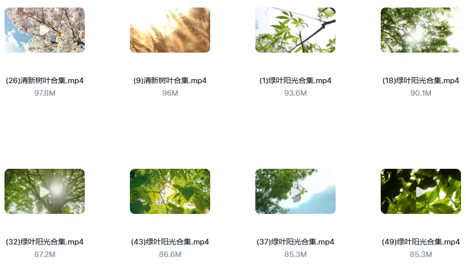 精选122款阳光穿透树叶空镜4K视频素材 第5张