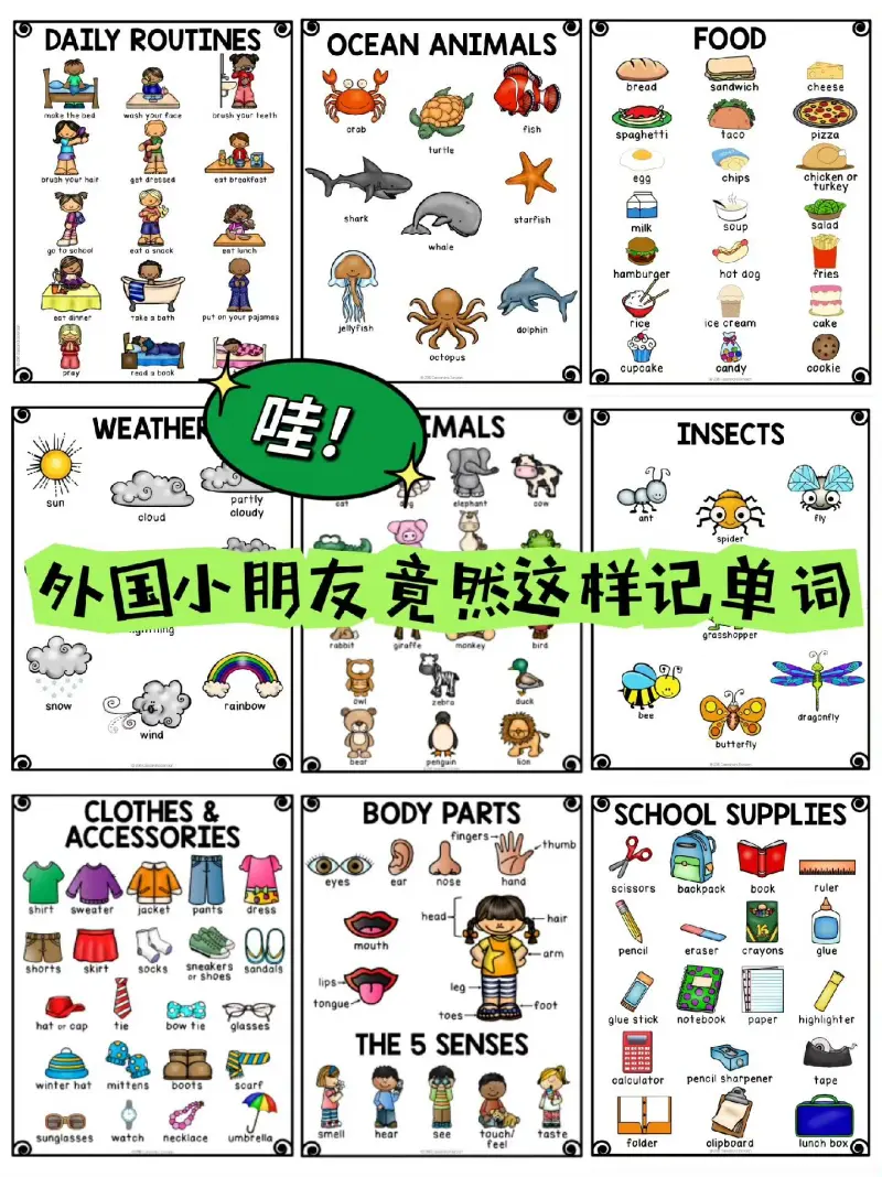 共1000+页｜国外孩子都在用的英文单词银行电子资料