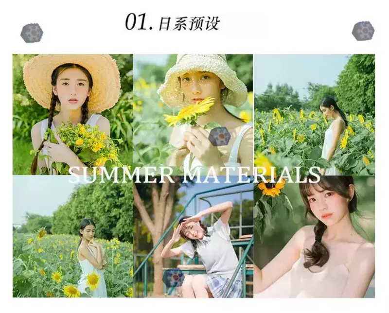 16800套lr预设ps滤镜pr调色大师级预设合集 第3张