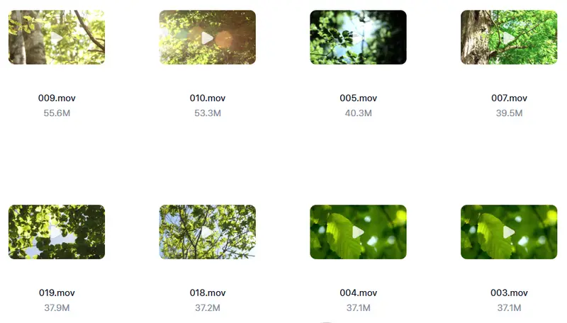 精剪2500+款唯美花朵特写视频素材 高清无水印 第5张