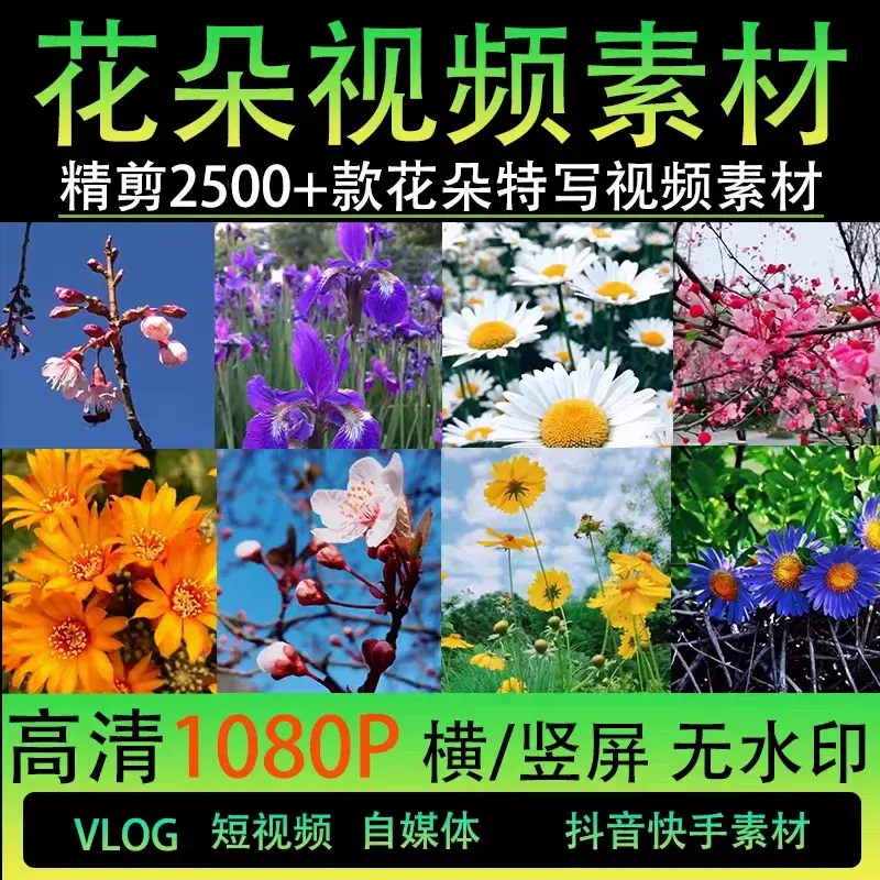 精剪2500+款唯美花朵特写视频素材 高清无水印