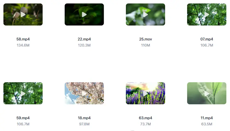 精剪2500+款唯美花朵特写视频素材 高清无水印 第2张