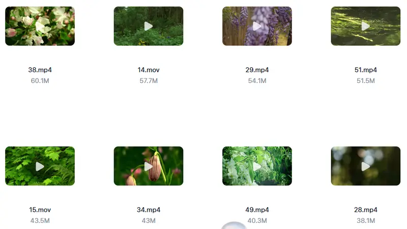 精剪2500+款唯美花朵特写视频素材 高清无水印 第4张