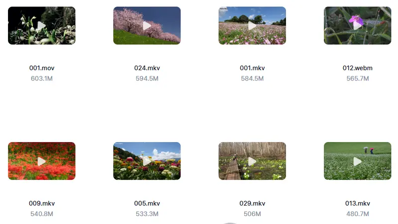 精剪2500+款唯美花朵特写视频素材 高清无水印 第7张