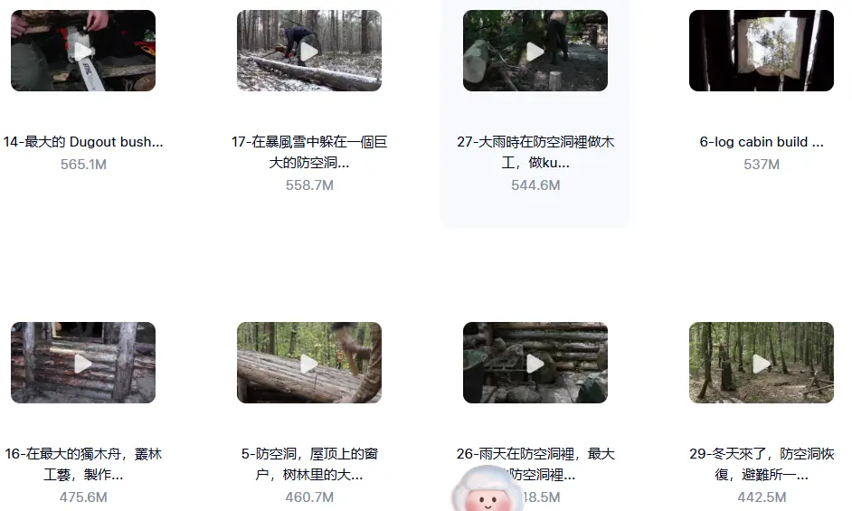 815款横屏国外建造庇护露营野餐无水印视频素材 第5张