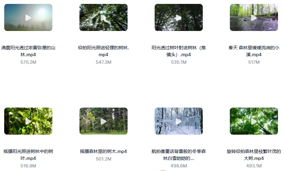 精选114款森林阳光照射大自然美景4K超清视频素材 第5张