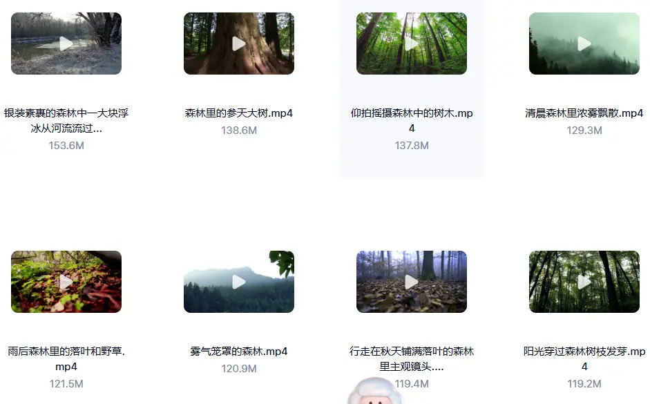 精选114款森林阳光照射大自然美景4K超清视频素材 第7张