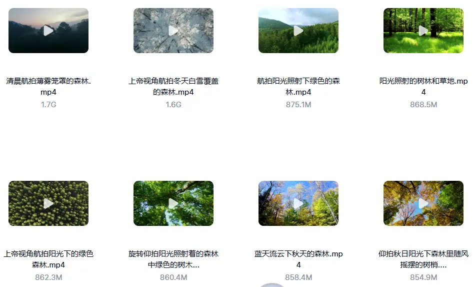 精选114款森林阳光照射大自然美景4K超清视频素材 第2张