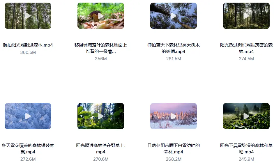 精选114款森林阳光照射大自然美景4K超清视频素材 第6张