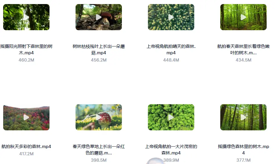 精选114款森林阳光照射大自然美景4K超清视频素材 第4张
