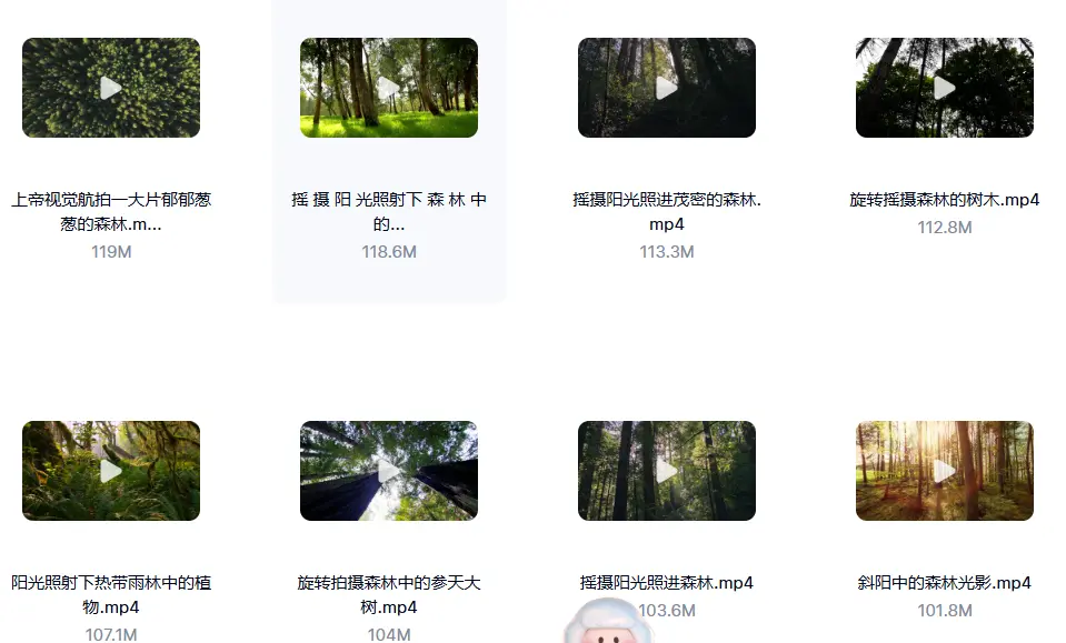 精选114款森林阳光照射大自然美景4K超清视频素材 第8张