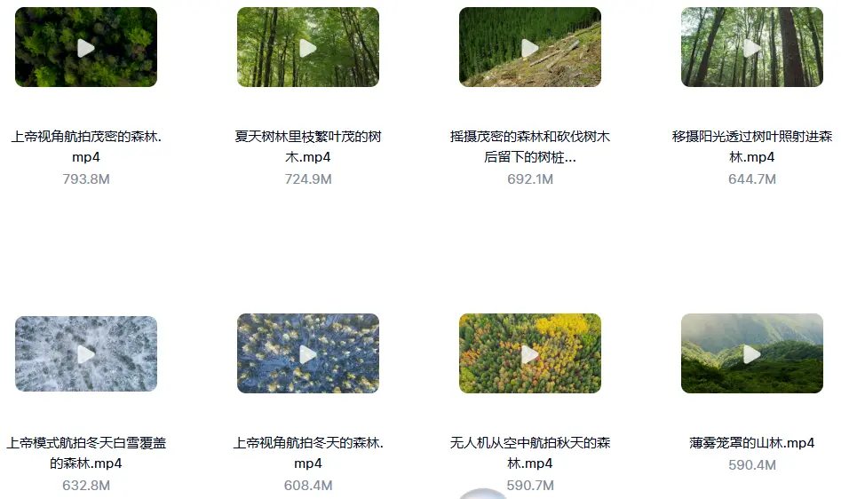 精选114款森林阳光照射大自然美景4K超清视频素材 第3张