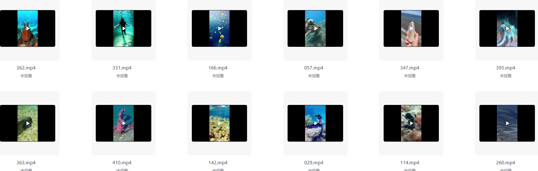 454款海底鱼类海洋珊瑚实拍竖屏视频素材 第5张