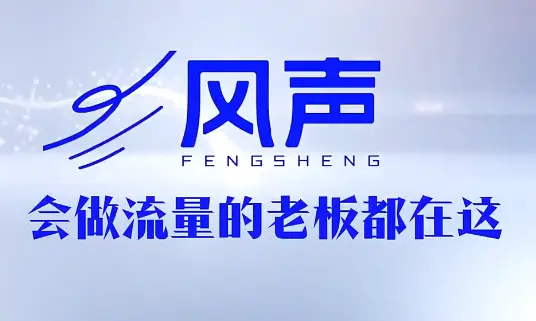 董十一·风声短视频AI获客年度会员