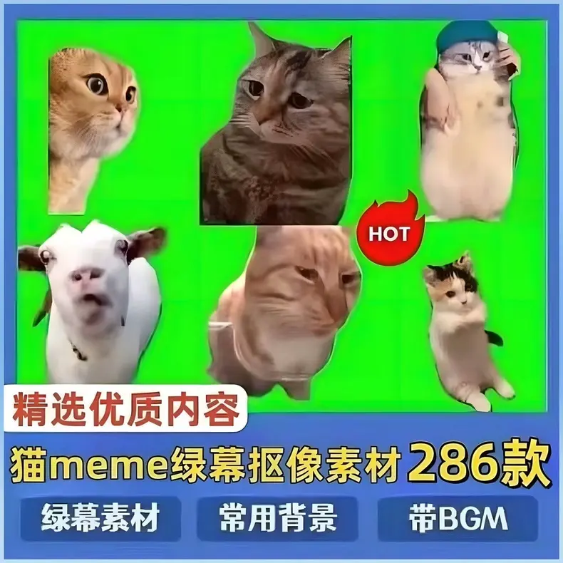 286款搞笑猫咪meme视频绿幕素材合集
