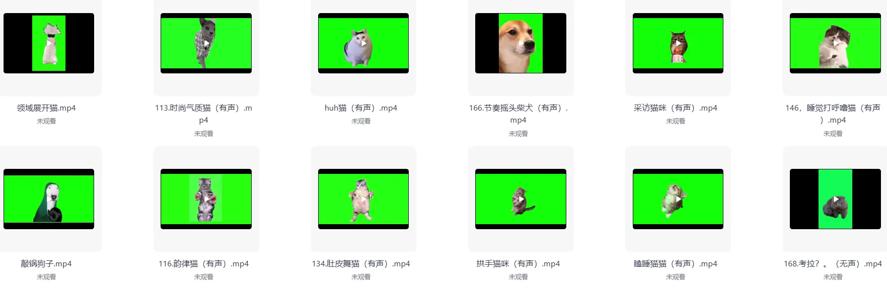 286款搞笑猫咪meme视频绿幕素材合集 第5张