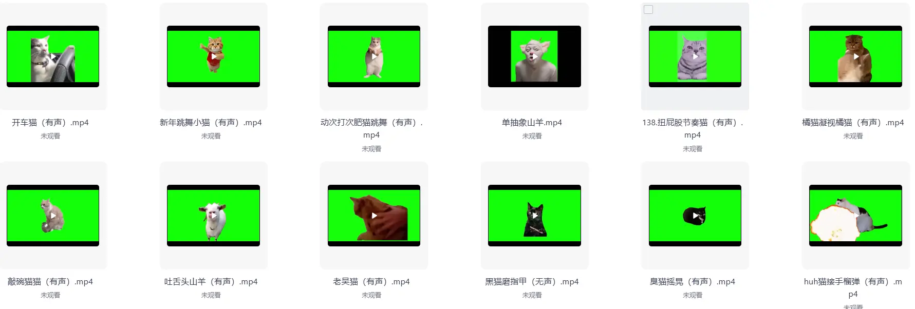 286款搞笑猫咪meme视频绿幕素材合集 第3张
