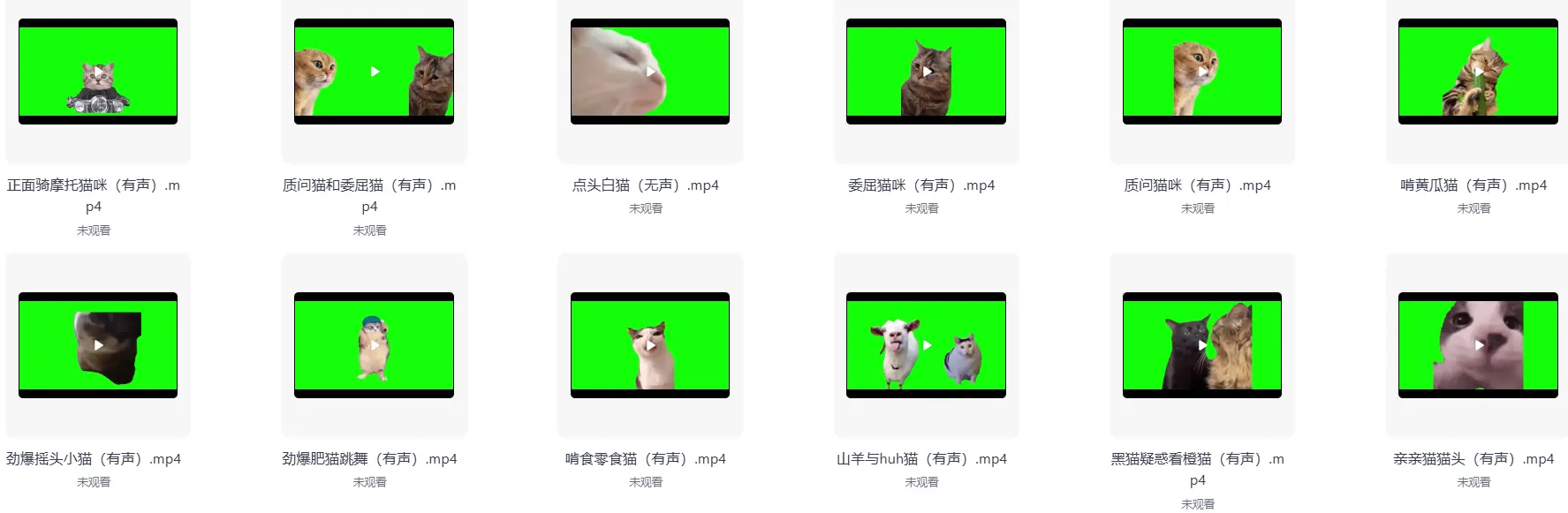 286款搞笑猫咪meme视频绿幕素材合集 第2张