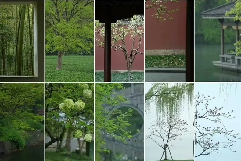 精选5000款江南古风风景唯美治愈系视频素材 第4张