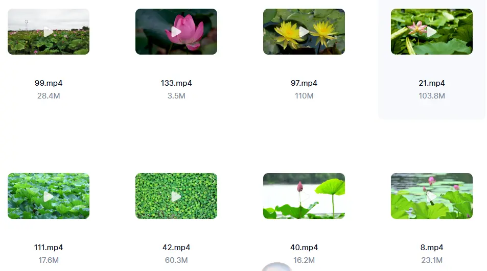精选138款唯美清新荷叶荷花莲花横屏视频素材 第3张