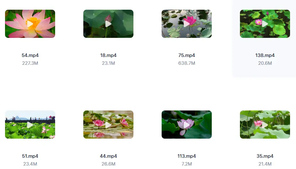 精选138款唯美清新荷叶荷花莲花横屏视频素材 第2张