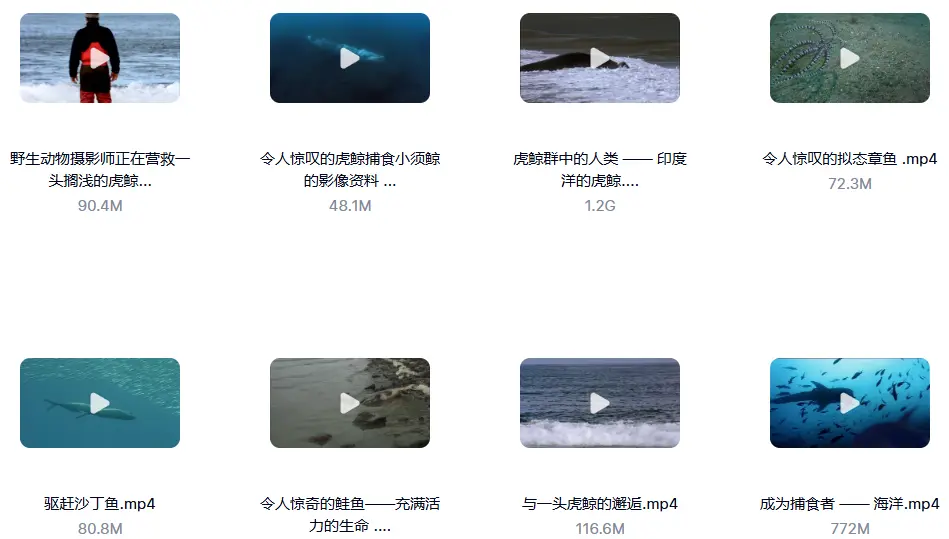 1000G野生动物世界4K高清纪录片横屏视频素材 无字幕 第6张