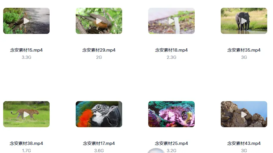 1000G野生动物世界4K高清纪录片横屏视频素材 无字幕 第4张