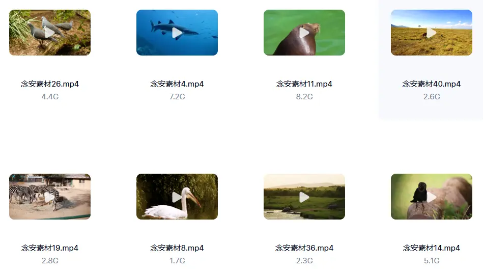 1000G野生动物世界4K高清纪录片横屏视频素材 无字幕 第2张