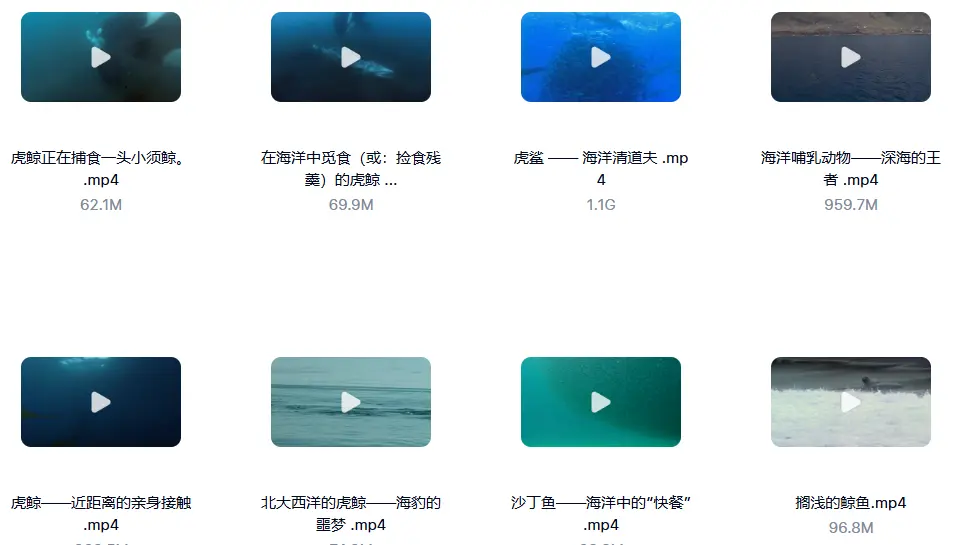1000G野生动物世界4K高清纪录片横屏视频素材 无字幕 第5张