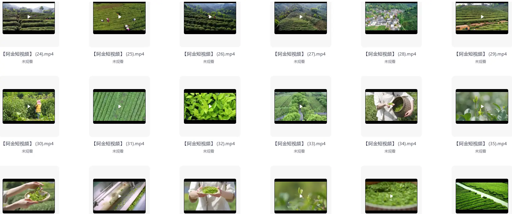 茶叶茶业短视频素材【4K-1080P】【43.3G】 第5张