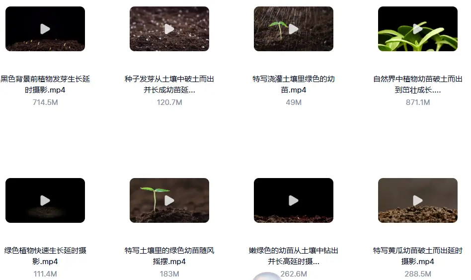 18款精选绿叶发芽生长横屏延时视频素材 第3张