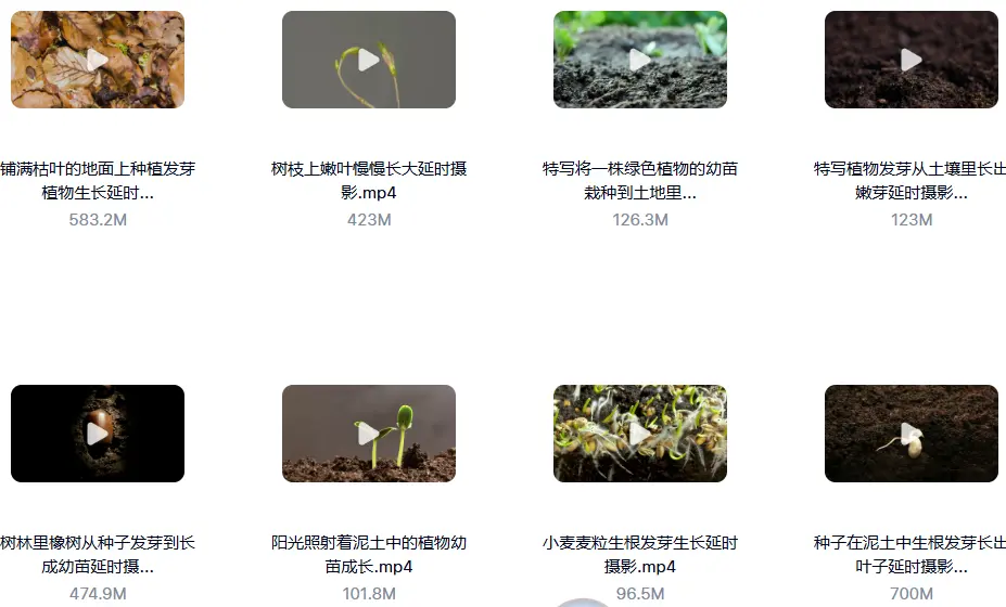 18款精选绿叶发芽生长横屏延时视频素材 第2张