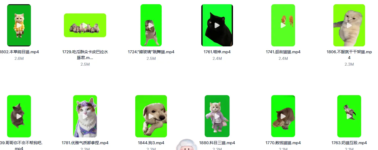 7200+款猫meme绿幕视频素材+背景素材+音效+教程 第5张