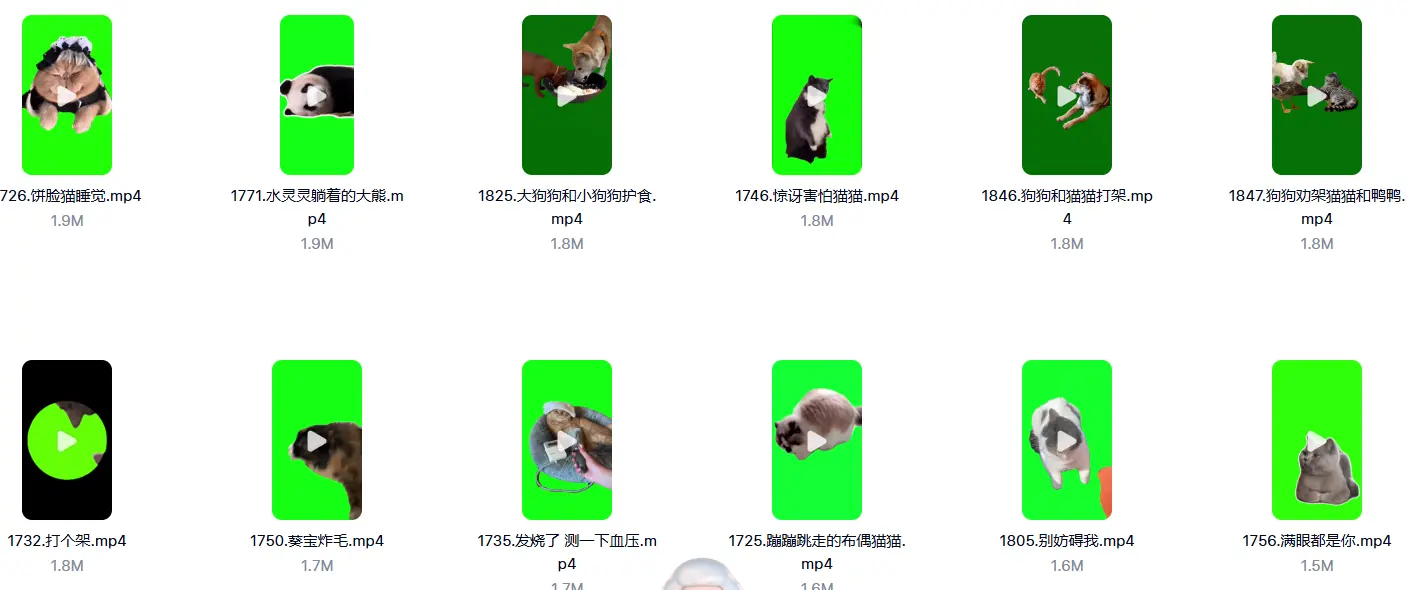 7200+款猫meme绿幕视频素材+背景素材+音效+教程 第6张