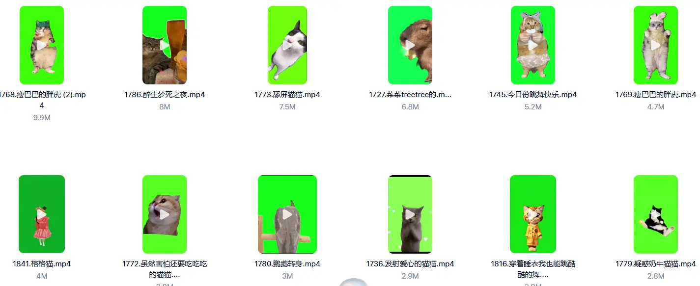 7200+款猫meme绿幕视频素材+背景素材+音效+教程 第4张