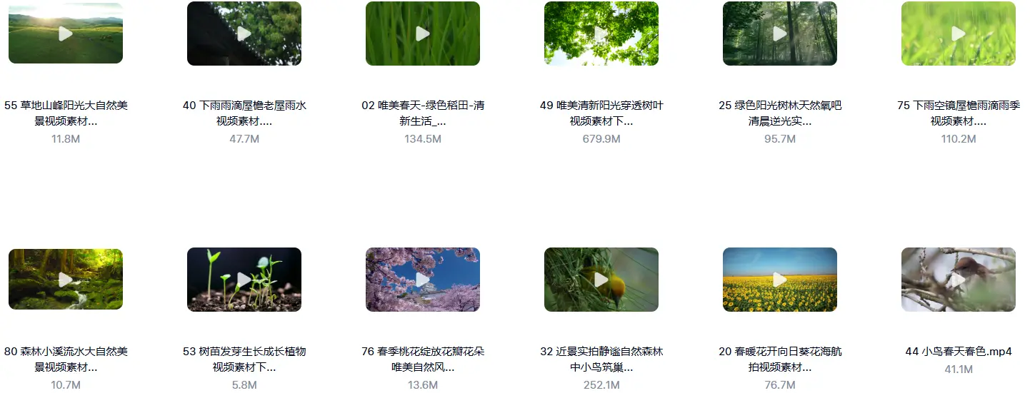 精选80款春天春暖花开复苏春雨横屏视频素材 第6张