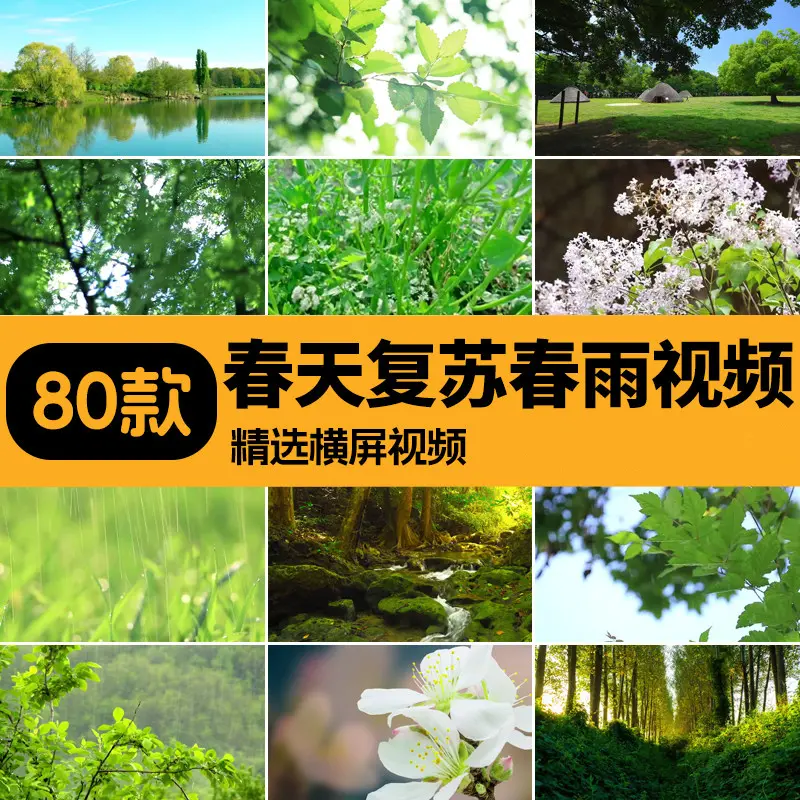 精选80款春天春暖花开复苏春雨横屏视频素材