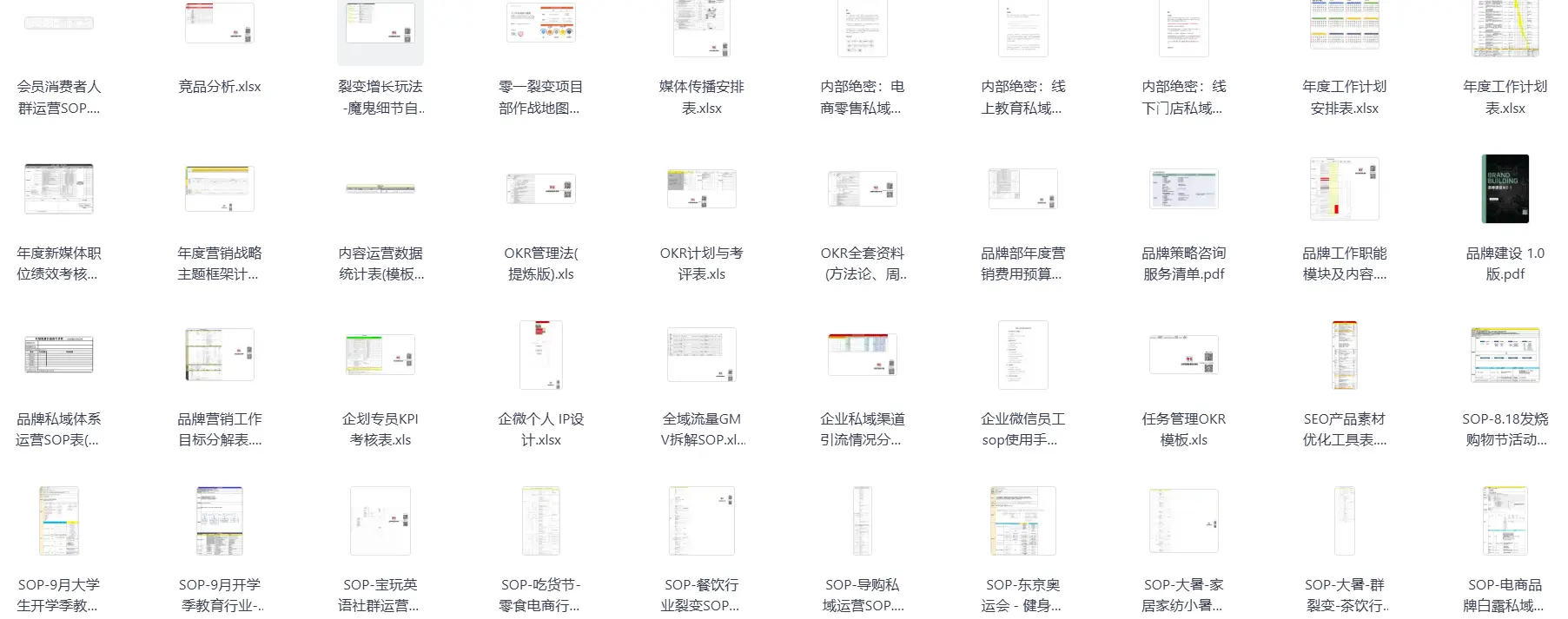 67份抖音直播运营全套sop表格案例资料 第3张