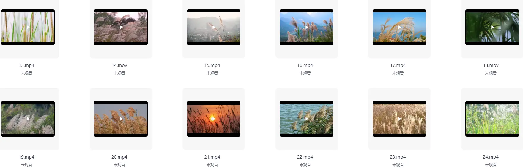 精选50款4K夕阳黄昏芦苇荡风景横屏视频素材 第3张